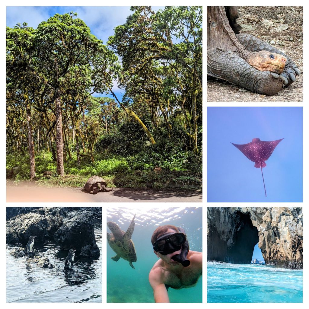 20250623_113411-collage6432340581050773434