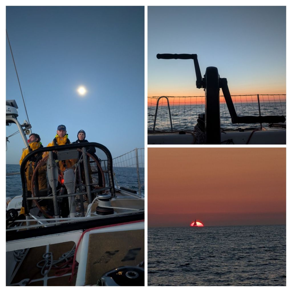 20250804_105017-collage3562728255210720867