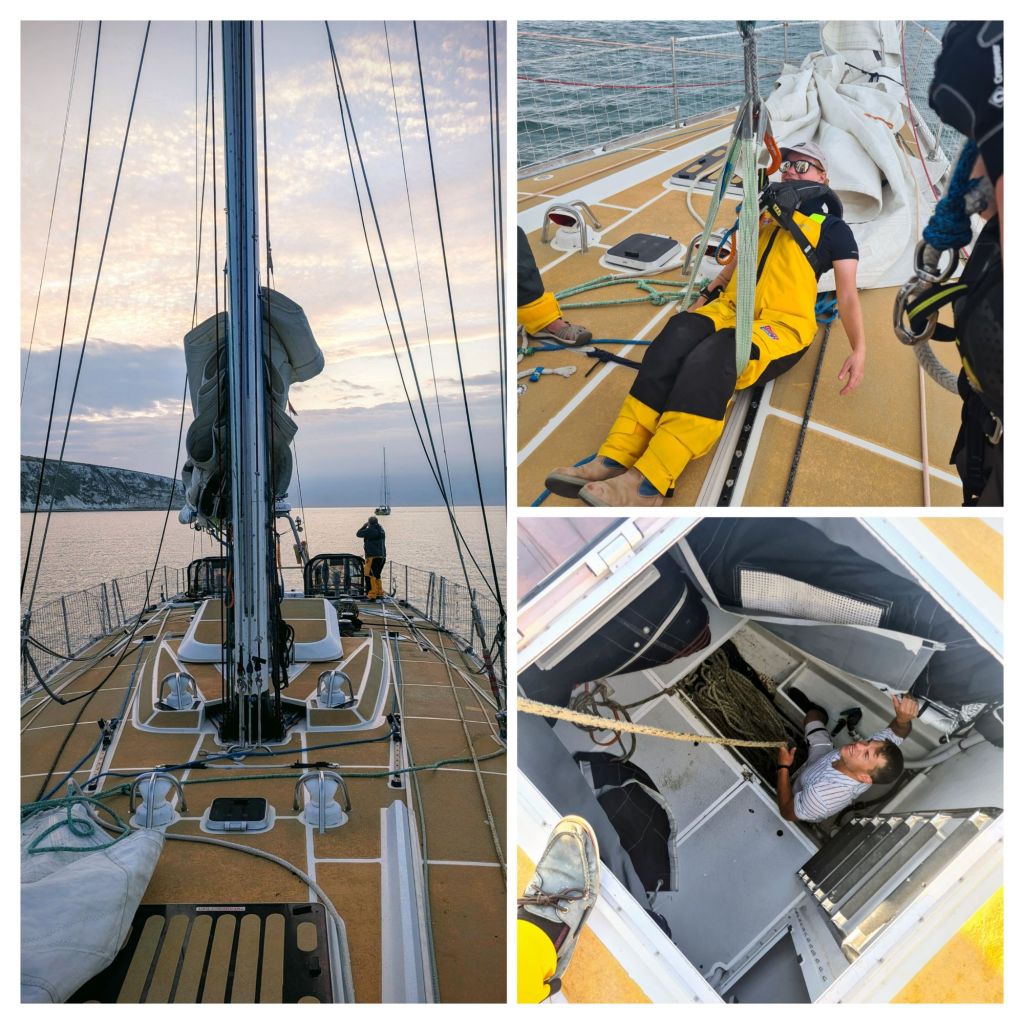 20250807_140734-collage7514765742643117587