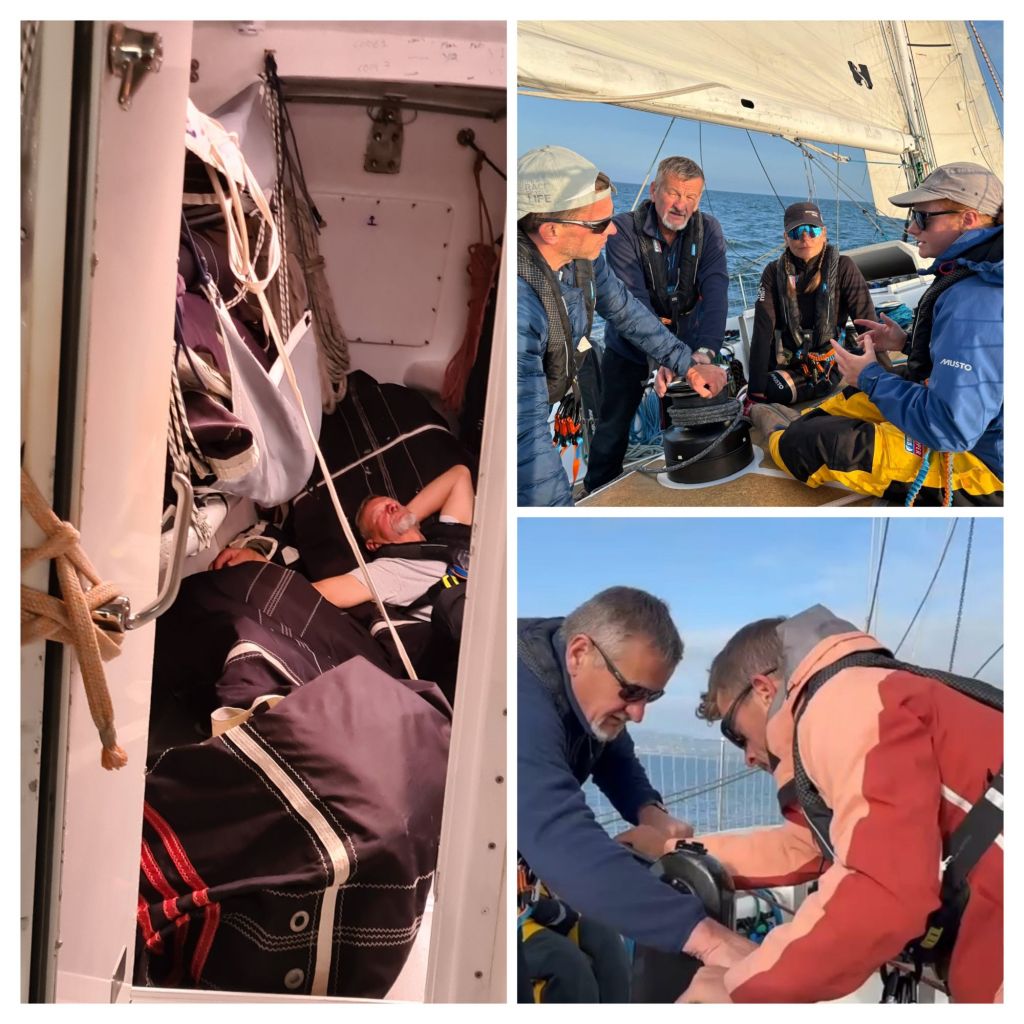 20250807_141014-collage5328537210650337730